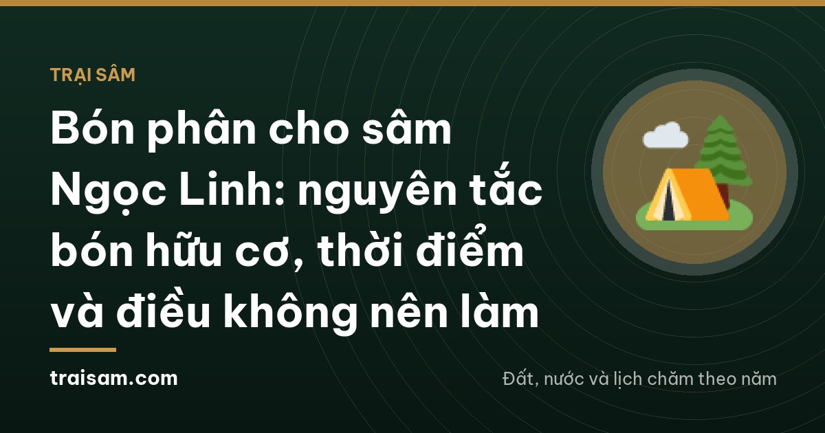 A gloved hand sprinkling dark crumbly compost thinly between ginseng plants on a mulched bed, soft side light through forest canopy, wicker basket at the edge, misty mountain woods of Quang Ngai