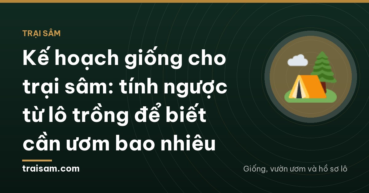 Dawn over a Lai Chau mountainside with staggered black shade-net blocks of different heights stepping down the slope, terraces in fog, a tiny figure walking between them