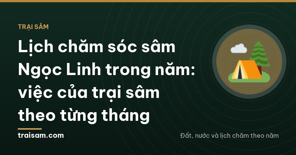 Two farm workers in green raincoats seen from behind walking a muddy path between shaded ginseng beds under tall forest trees on a misty slope in Quang Ngai highlands